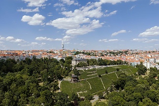 belehradska-29-013-grebovka-social-2048px-fcdb9b