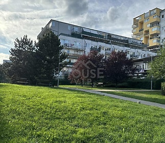 8cf6d6a8-2f89-4d21-98ae-496003ab9f2c