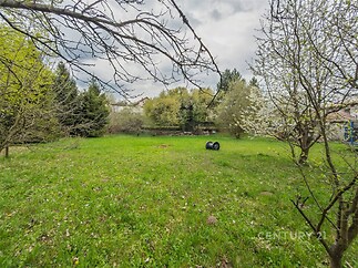 Zahrada s rozlehlým trávníkem a vzrostlými stromy, ideální pro rodinnou rekreaci. Přírodní prostředí, klidná lokalita, potenciál pro zahradní úpravy.