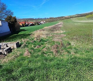 zahrada s venkovský pohled a trávník