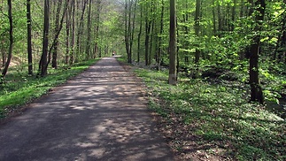 modranska-rokle-05