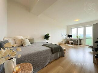 pokoj / ložnice s dřevěná podlaha, přirozené světlo, televize, a radiátor