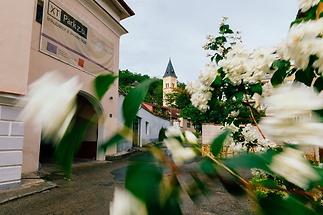 zit-branik-250604-zit-branik-vyber-hq-0004-3d0773