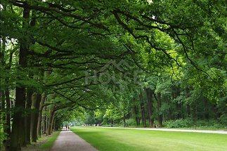 Snímek obrazovky 2025-12-04 144308