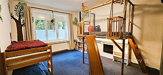 Dětský pokoj s kobercovou podlahou, velkým oknem a vestavěnou dřevěnou prolézačkou, světle malované stěny s dekoracemi stromů.