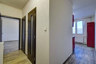 Chodba s moderními dveřmi a dřevěnou podlahou, vedoucí do kuchyně s velkými okny, světlá a čerstvě rekonstruovaná.