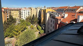IMG_0858.jpg