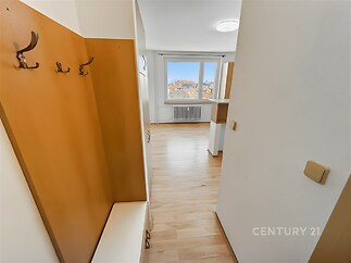 Vstupní hala s parketovou podlahou, vestavěná skříň, moderní interiér, světlé stěny, velké okno s výhledem na město