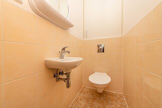 850_7081.jpg