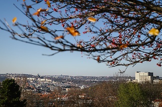 Prodej bytu 2+kk 47 m², Praha 3