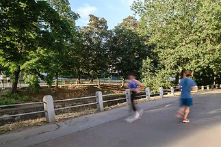 Nebytová jednotka č. 1