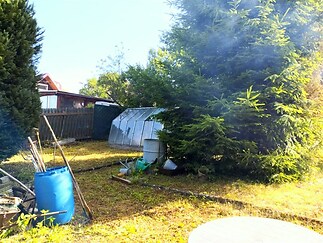 Prostorná zahrada s krytým skleníkem, vzrostlými jehličnany a dřevěným plotem, ideální pro pěstování a relaxaci v přírodě.