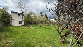 Zahrada se starší stavbou, krásná zelená plocha, ovocné stromy, klidná lokalita, možnosti úprav a výstavby, přírodní prostředí