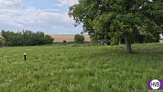 mvimg-20250716-115302.jpg