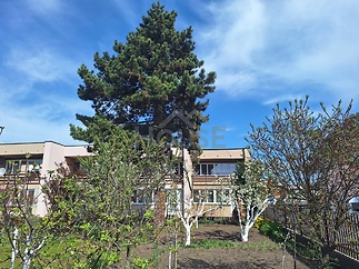 20250413_104824[1]