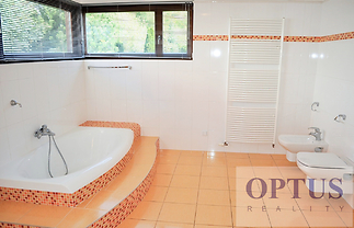 bathroom1a.jpg