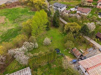Zahrada s ovocnými stromy a udržovaným trávníkem, obklopená křovinami, nacházející se v klidné rezidenční oblasti s dobrou dostupností.