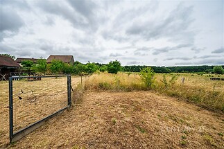 Prázdný pozemek s travnatým porostem a vzrostlými stromy, venkovské prostředí, klidná lokalita, ideální pro zemědělské využití nebo stavbu domu.
