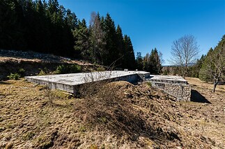 Přízemní dům v přírodní krajině s kamennými detaily na fasádě, obklopený lesním porostem, vhodný pro rekonstrukci či modernizaci.