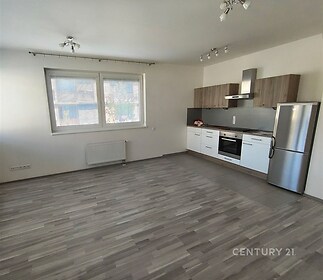 Moderní kuchyň s parketovou podlahou a nerezovými spotřebiči, velká okna poskytují dostatek světla, kuchyňská linka v dřevěném dekoru