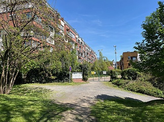IMG_3414