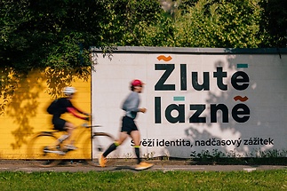 zit-branik-250604-zit-branik-vyber-hq-0022-a7aa58