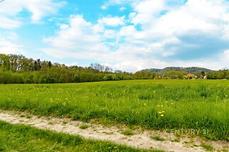 zahrada s pohled na lesy
