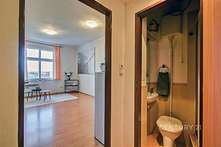 Chodba s výhledem na světlý obývací pokoj s parketovou podlahou a velkými okny, vedlejší koupelna s moderním sprchovým koutem