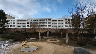 PHOTO-2026-01-02-10-57-39 (4)