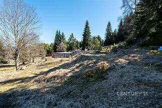 Lesní pozemek s krásným výhledem, mírně svažitým terénem a okolní přírodou, ideální pro rekreační využití, obklopený vzrostlými stromy.