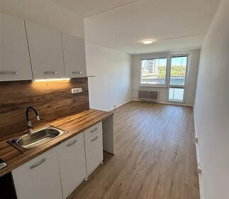 Kompaktní kuchyně s dřevěnou pracovní deskou, parketová podlaha, moderní vybavení, velká okna zajišťující světlost interiéru.