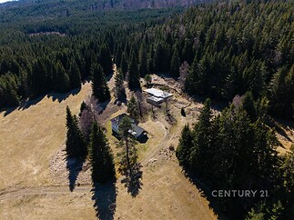 Chata v lesním prostředí obklopená stromy, dřevěná fasáda, klidná lokalita, ideální pro milovníky přírody.