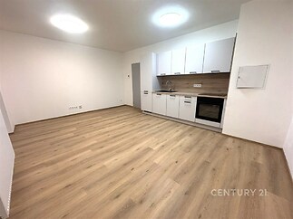 Kuchyňský kout s moderními spotřebiči, světlý prostor, laminátová podlaha, minimalistický styl, vestavěné skříně, nově zrekonstruovaný.