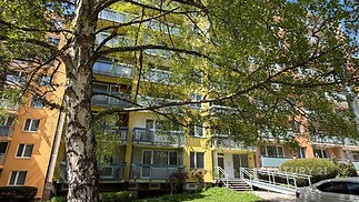 Předzahrádka panelového domu s velkými okny a rekonstruovanými balkony, okolí s udržovanou zelení a stromem na trávníku.