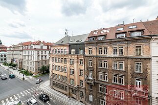 850_5187.jpg