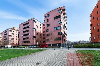 850_0836.jpg