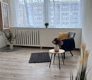 Světlý obývací pokoj s parketovou podlahou a velkými okny, moderně zařízený dekorativními rostlinami a pohodlným křeslem.