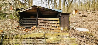 Dřevěná kůlna v lesním prostředí s přístřeškem na dříví a rustikálním vzhledem, vhodná pro uskladnění materiálu a nářadí.