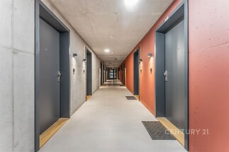 Moderní bytová chodba s betonovými zdmi, šedými dveřmi a světlou podlahou, minimalistický design, kvalitní osvětlení.