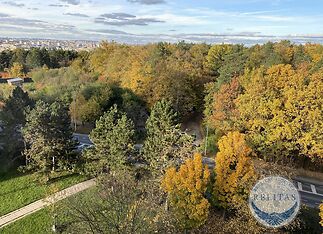 fotografie nemovitosti č. 19