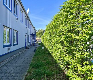 Úzký přístupový chodník s dlažbou vedle moderního domu s velkými okny a pečlivě udržovanou živou stěnou în klidné lokalitě.