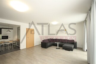 obývací pokoj / living room