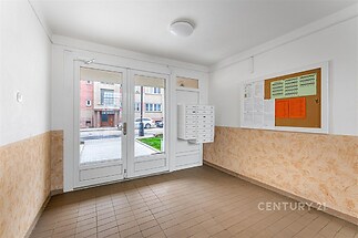 Vstupní prostor s dlažbou, světlý interiér, moderní výzdoba, prosklené dveře a nástěnná poštačka, vhodný pro bytový dům.