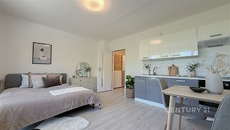 Kompaktní studio s moderní kuchyní, světlá plovoucí podlaha, elegantní nábytek, dostatek denního světla, minimalistický design.