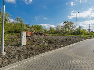 Stavební pozemek s dlážděnou příjezdovou cestou, obklopený zelenými stromy, ideální pro moderní stavbu v klidné lokalitě.