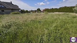 1746615155628-1.jpg
