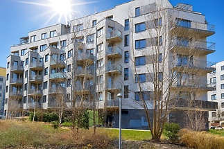 Copilot_20260207_114520