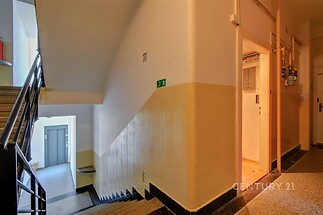 Chodba bytového domu s dlažbou a přístupem k výtahu, světlé schodiště, nedávno rekonstruovaná omítka, moderní interiérové prvky.