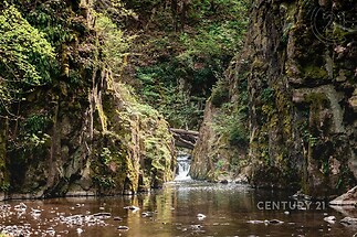 výhled na vodu s výhled na vodu a pohled na lesy