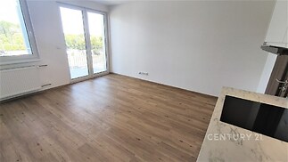 Pohled na francouzské okno